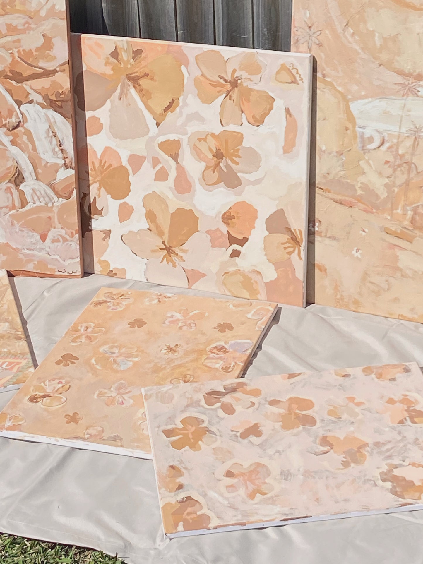 Pocketful of Shells